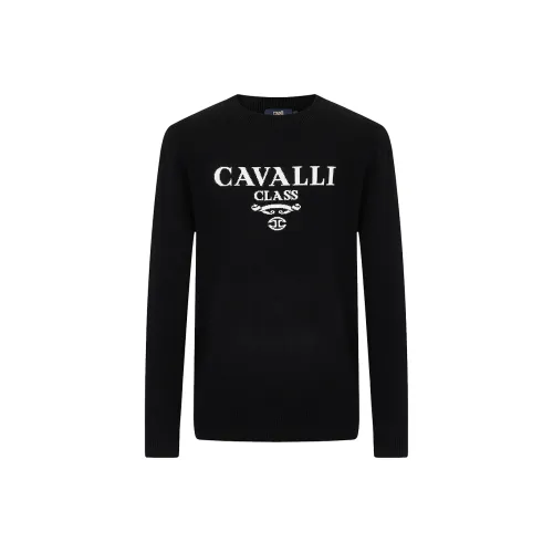 Cavalli Class Кашемировый свитер мужской