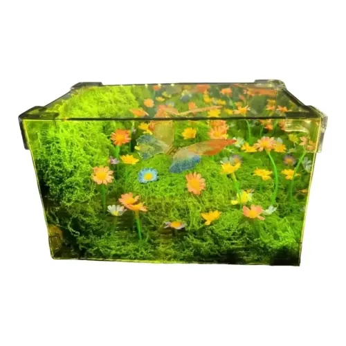 DUOMIAOYOU Креативный Волшебник страны Оз Бабочка Прямоугольный Ночные фонари DIY Материал DIY Игрушки