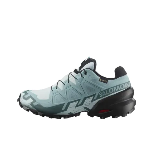SALOMON Speedcross 6 Беговые кроссовки Женские Blue