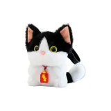 Чёрный Белый Немецкий язык Кошка