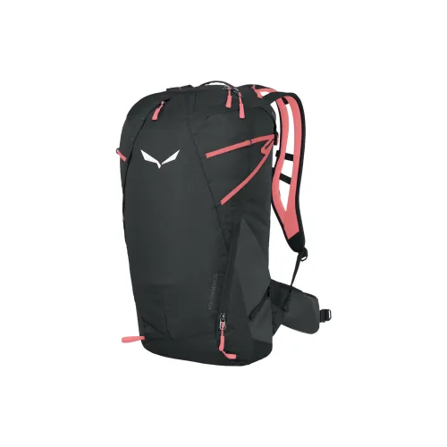 SALEWA Mountain Trainer 2 Туристические сумки Черный Красный Мужской