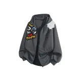 Dark Gray (Gypsophila Improved)  
Темно-серый (Гипсофила улучшенная)