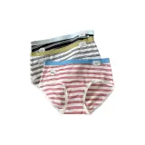 Чёрный + Матча + Красный (Универсальный, Полосы, Стиль~)