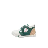 Слоновая кость/Киноварь Зеленый/Светлый Орех-2