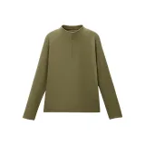 Полярный мшисто-зеленый