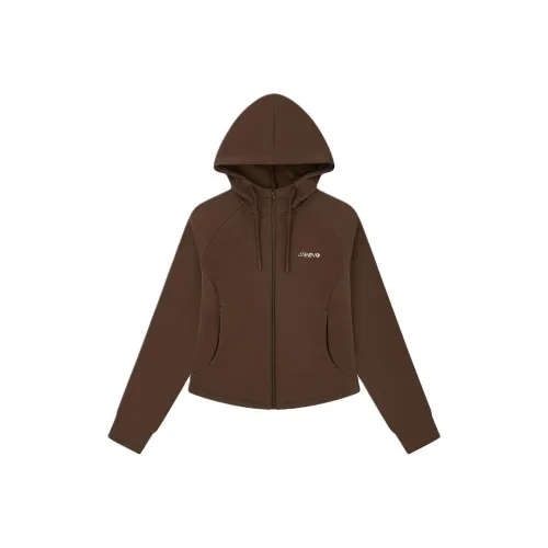 QIAODAN Sparrow Чай Коричневый Женский Свитшот