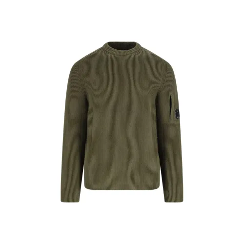 C.P.CO Зеленые Мужские Свитера