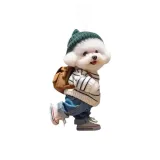 Холодный Холодный Модный Тедди Щенок