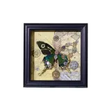 Карта Позиционирование стиля - Включает Бабочку + Стекло Фоторамка