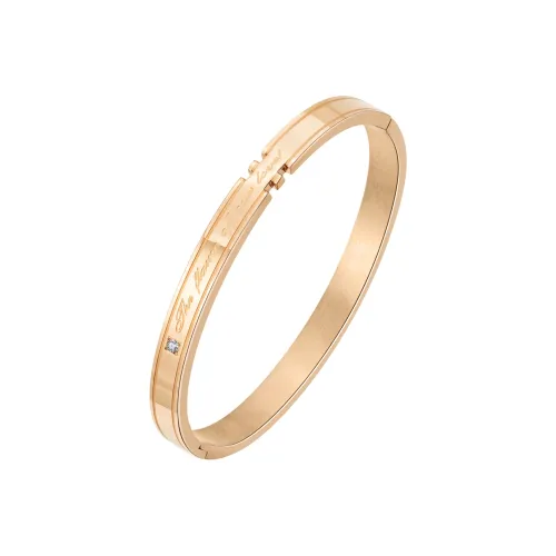 CHEESEFAN Сплав Браслеты Женские