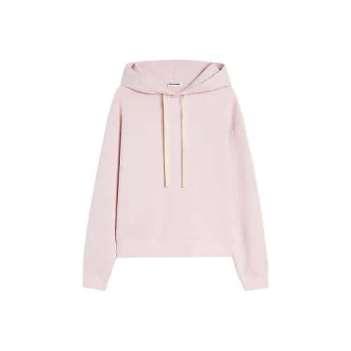 JIL SANDER Розовые Женские Свитшоты