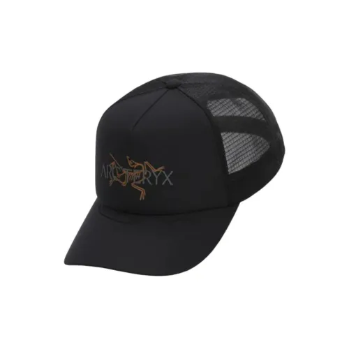 Arcteryx Полиэстер Кепки Мужские Черные