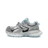 Ледник Синий (Экономическое издание)