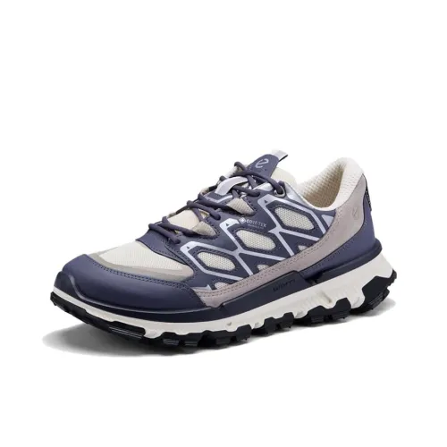 Ecco Водонепроницаемый Низкий Топ Походная Обувь Женская