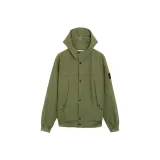 Мох зеленый