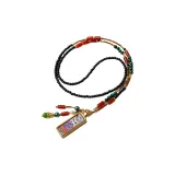 Лиса Спирит