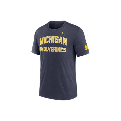 Jordan Michigan Синий Серый Мужская Футболка