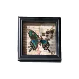 Нота-Включает: Бабочка + Стекло + Фоторамка