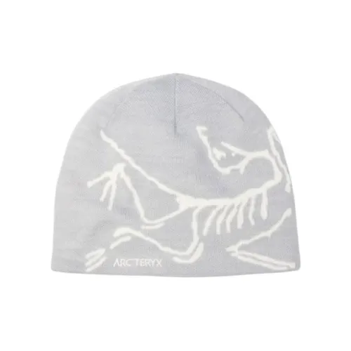 Arcteryx Полиэстер Beanies Унисекс Серый