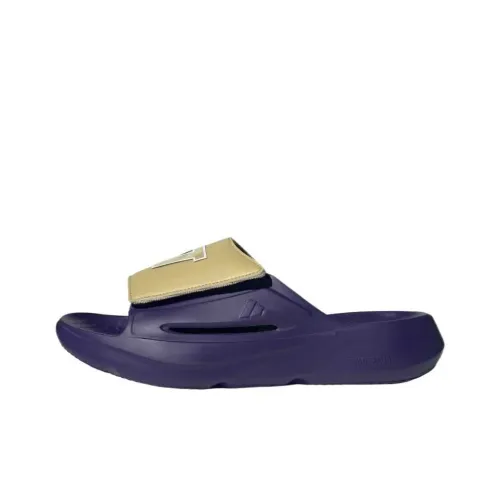 Washington Huskies x Adidas LIGHTBLAZE Слипоны Унисекс