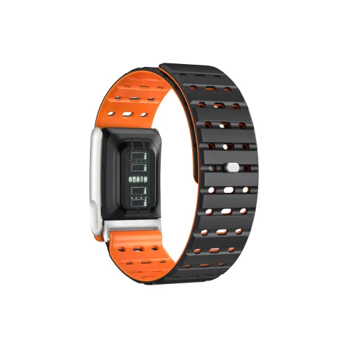 DAOWEI Ремешок Whoop Совместимость Силикон Магнитный Материал Сплав цинка Длина 244 мм