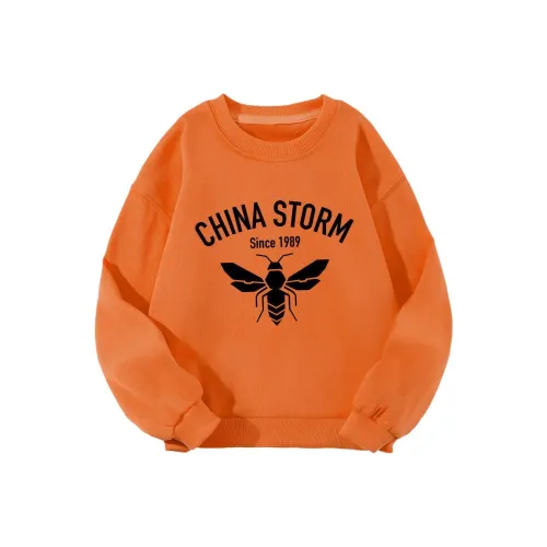 BIG WASP Мальчики AUTUMN Круглый вырез Свитшот