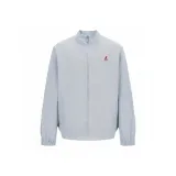 Ледниково-серый