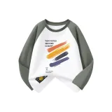 Сталинский серый