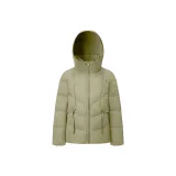 Цвет зеленого авокадо