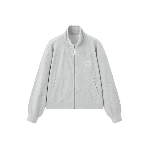 LEDIN Лунный Каменный Серый В наличии Женские Свитшоты