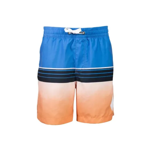 Quiksilver Многоцветные Мужские Повседневные Шорты