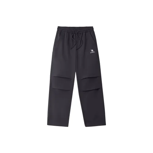 CAMEL Urban Function Series Карго Брюки Мужские