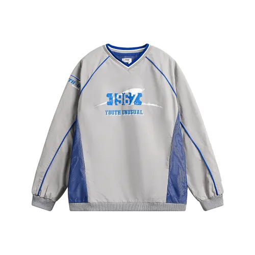 PGKZ Серый Унисекс Свитшоты