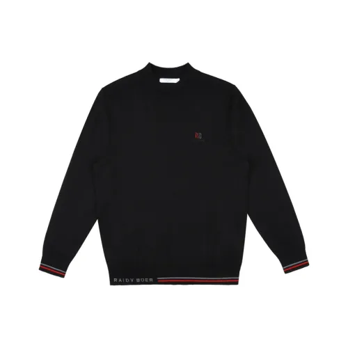 Raidy Boer Мужские Свитера