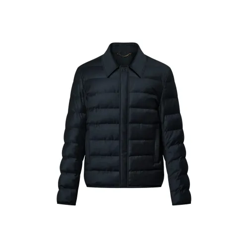 LOUIS VUITTON FW25 Куртки и пальто Мужской