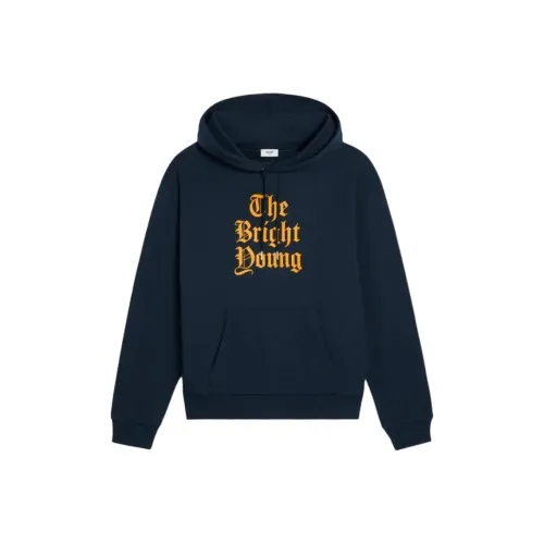 CELINE Морской синий Мужские Свитшоты