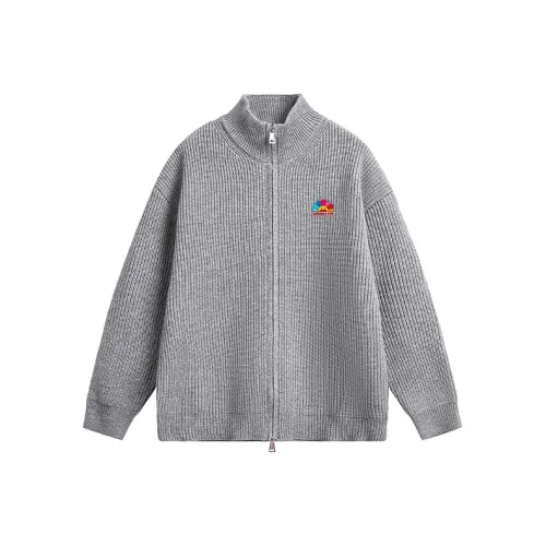 GOOSELIAR Унисекс Свитера