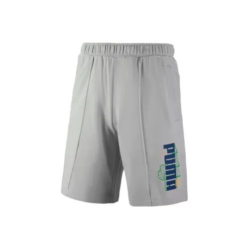 PUMA Серые Мужские Повседневные Шорты