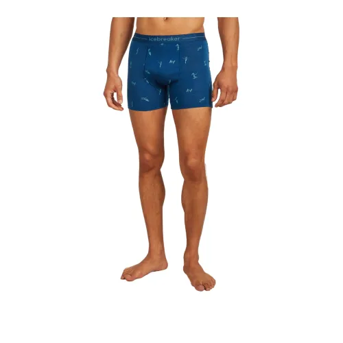 Icebreaker Merino 150 Anatomica Boxers SKI Day Боксеры Мужской