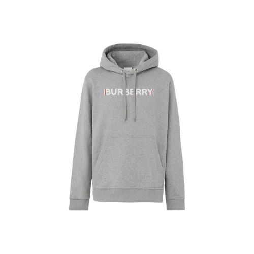 Burberry Серый Мужской Свитшот