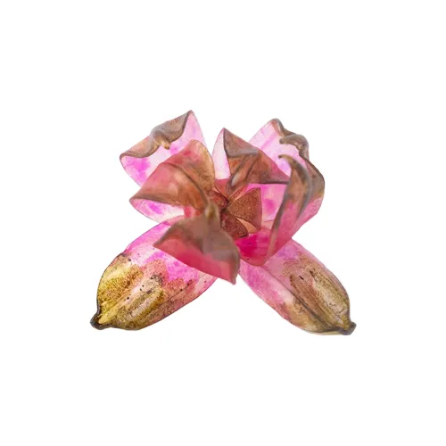 Fleeting Leather Коровья кожа Серьги-гвоздики Женские