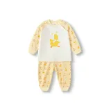 Желтый цвет 00333