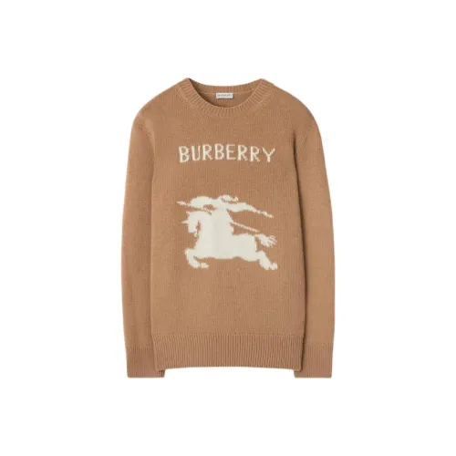 Burberry Коричневые Мужские Свитера