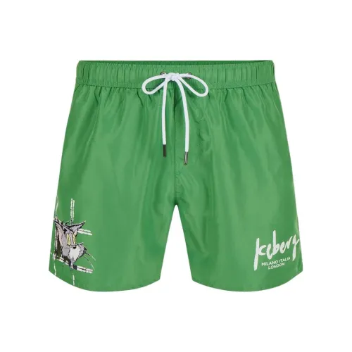 Айсберг-зеленые мужские пляжные шорты