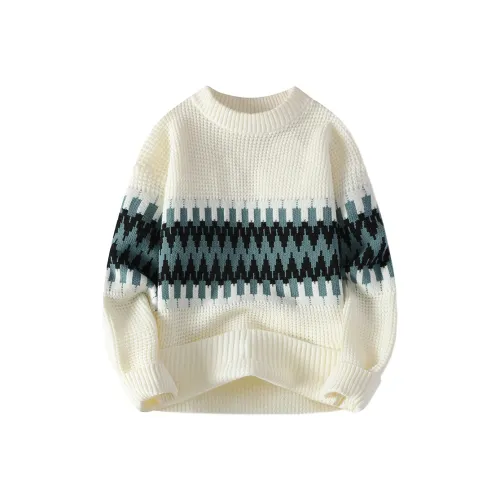 BAISHENGHU Мужской Трикотаж