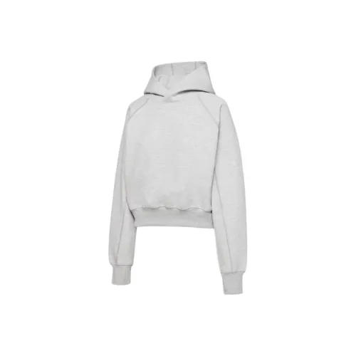 Aritzia FW25 Golden FormaFleece™ Speed Hoodie Hoodie Women's