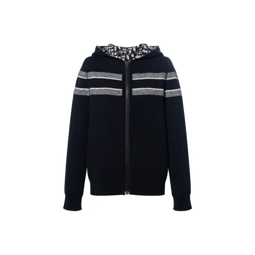 DIOR ESSENTIAL SWEATSHIRT Женские Морской Синий