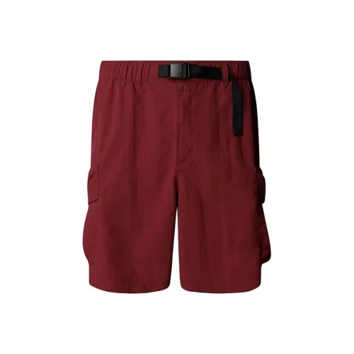 THE NORTH FACE Карго шорты мужские