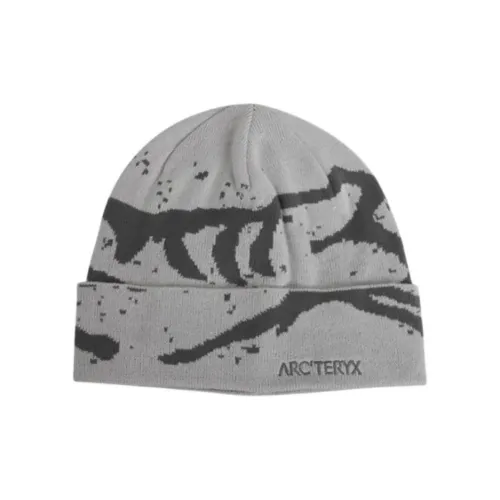Arcteryx Шапки-бини Унисекс