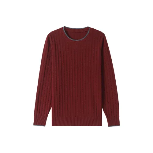 MJ Женская трикотажная одежда